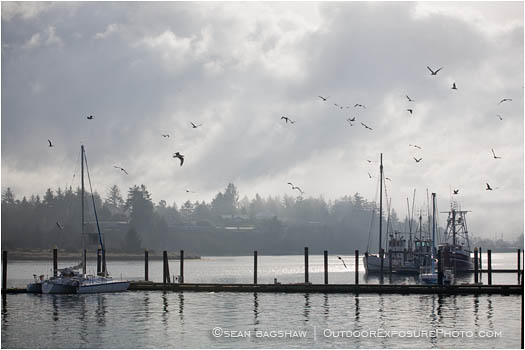 Print: Dock of the Bay
