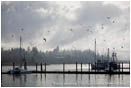 Print: Dock of the Bay