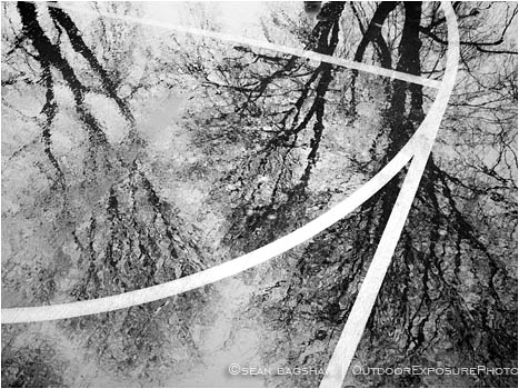 Rights Managed Stock Photo: Park Block Reflection