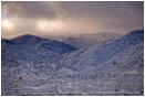 Print: Ashland Winter