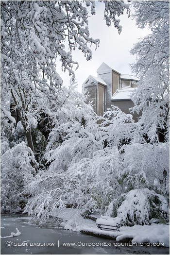 Print: The Winter's Tale
