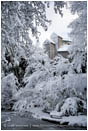 Print: The Winter's Tale