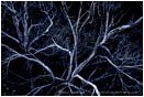 Rights Managed Stock Photo: Forsaken
