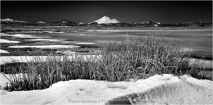 Rights Managed Stock Photo: Tulelake