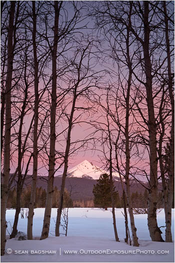 Rights Managed Stock Photo: Winter Dawn On Mt. McLoughlin