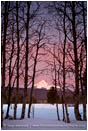 Print: Winter Dawn On Mt. McLoughlin