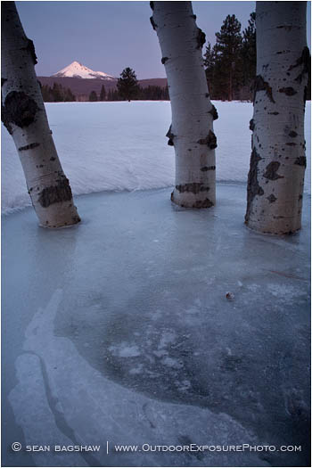 Rights Managed Stock Photo: Icebound