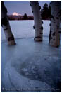Print:  Icebound