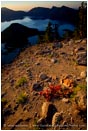 Royalty Free Stock Photo: Sunrise on Crater Lake Rim