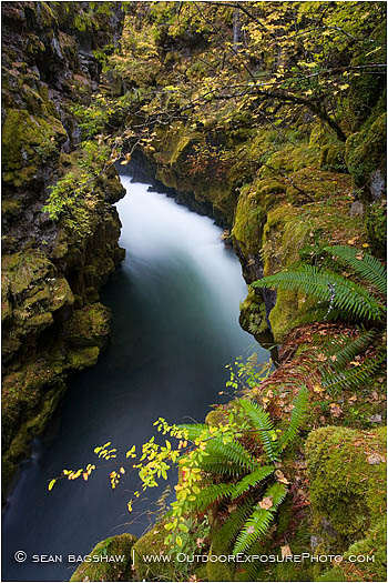 Royalty Free Stock Photo: Rogue River Gorge