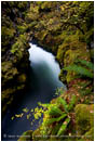 Royalty Free Stock Photo: Rogue River Gorge