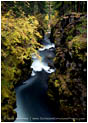 Royalty Free Stock Photo: Rogue River Gorge 2