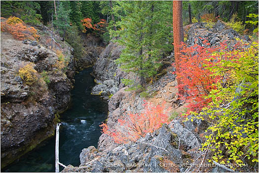 Royalty Free Stock Photo: Takelma Gorge Fall 4