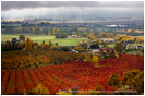 Rogue Valley Orchards In Fall 1 Stock Image,