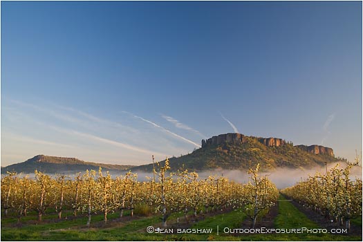 Royalty Free Stock Photo: Table Rock and Pear Orchard 6