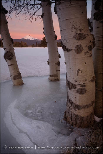 Rights Managed Stock Photo: Midwinter Morning