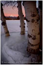 Rights Managed Stock Photo: Midwinter Morning