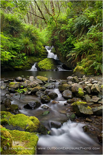 Rights Managed Stock Photo: Nickel Creek Falls