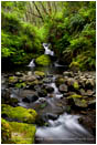 Print: Nickel Creek Falls
