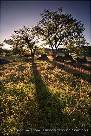 Rights Managed Stock Photo: Land Of Pure Sunlight