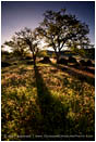 Rights Managed Stock Photo: Land Of Pure Sunlight