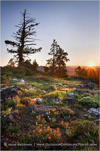 Rights Managed Stock Photo: Siskiyou Sunrise