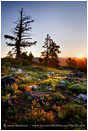 Print: Siskiyou Sunrise