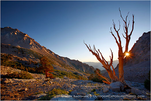 Rights Managed Stock Photo: Sunrise at Shepherd Pass