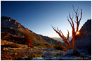 Print: Sunrise at Shepherd Pass