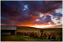 Forgotten Stock Image, Washington