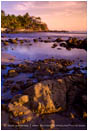 Royalty Free Stock Image: Tropical Cove 1