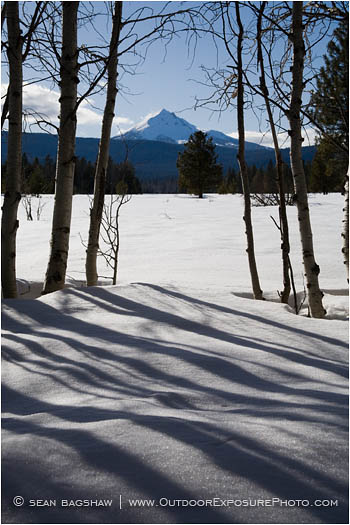 Royalty Free Stock Image: Mt. McLoughlin and Aspens 1