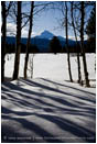 Mt. McLoughlin and Aspens 1 Stock Image,