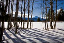 Mt. McLoughlin and Aspens 2 Stock Image,