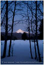 Mt. McLoughlin and Aspens 3 Stock Image,