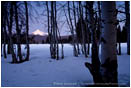 Mt. McLoughlin and Aspens 4 Stock Image,