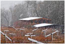 Blueberry Farm in the Snow Stock Image, Rogue Valley, Oregon
