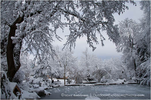 Royalty Free Stock Image: Lithia Park in Snow 1