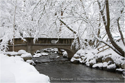 Royalty Free Stock Image: Lithia Park in Snow 2