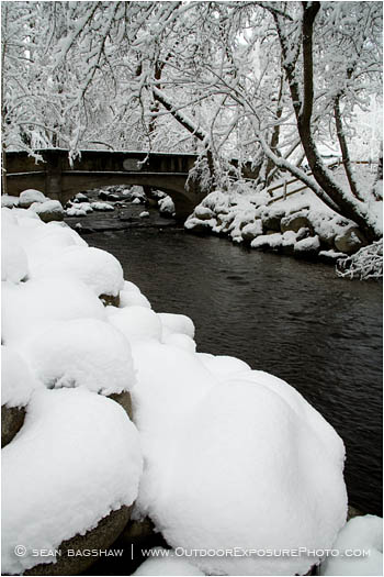 Royalty Free Stock Image: Lithia Park in Snow 3