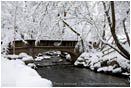 Royalty Free Stock Image: Lithia Park in Snow 3