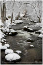 Lithia Park in Snow 4 Stock Image,