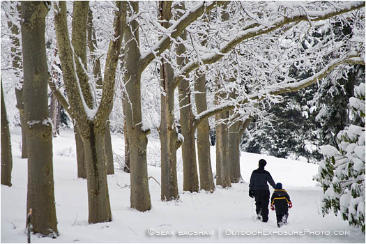 Royalty Free Stock Image: Lithia Park in Snow 5