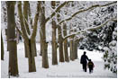 Royalty Free Stock Image: Lithia Park in Snow 5