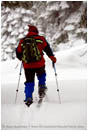 Ski Tour 1 Stock Image,
