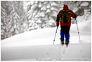 Ski Tour 2 Stock Image,