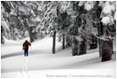 Ski Tour 3 Stock Image,
