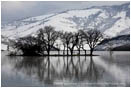Royalty Free Stock Image: Emigrant Lake in Winter 1