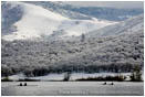 Royalty Free Stock Image: Emigrant Lake in Winter 4