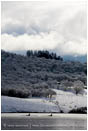 Royalty Free Stock Image: Emigrant Lake in Winter 5